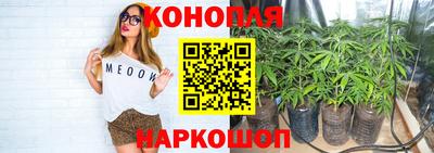 прущая мука Гай
