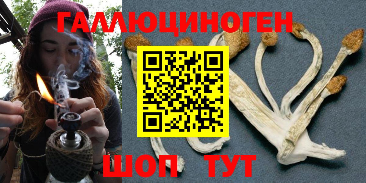 Галлюциногенные грибы Magic Shrooms Коломна