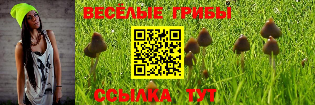 Коломна  Галлюциногенные грибы Psilocybe  Вход с VPN 